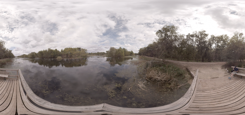 Brazos Bend State Park – Shot 4