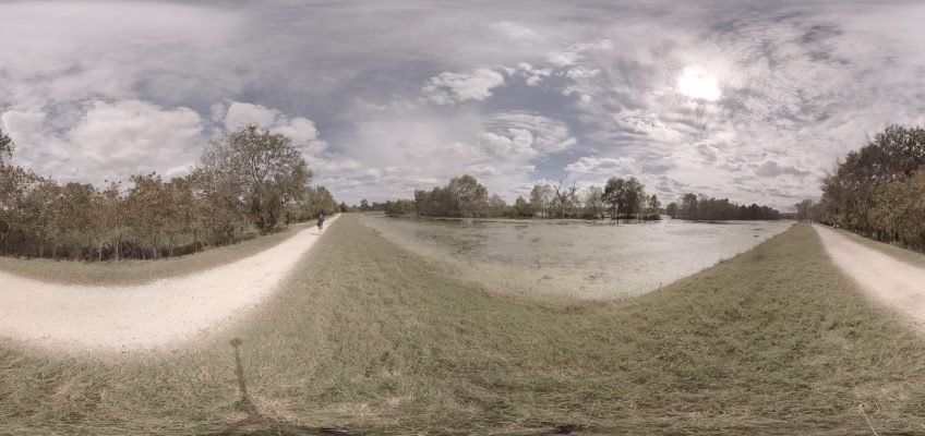 Brazos Bend State Park – Shot 1