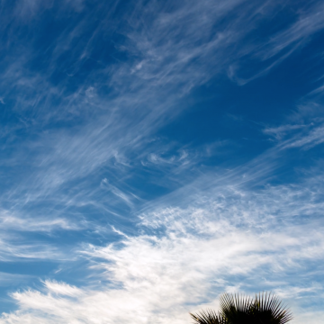 Morning Clouds – 4K